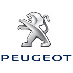 Установка биксеноновых линз Peugeot
