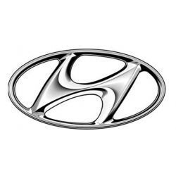 Установка газовых упоров Hyundai