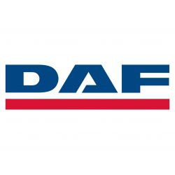 Продажа автостекол на DAF